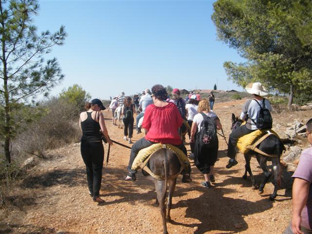 טיול חמורים
