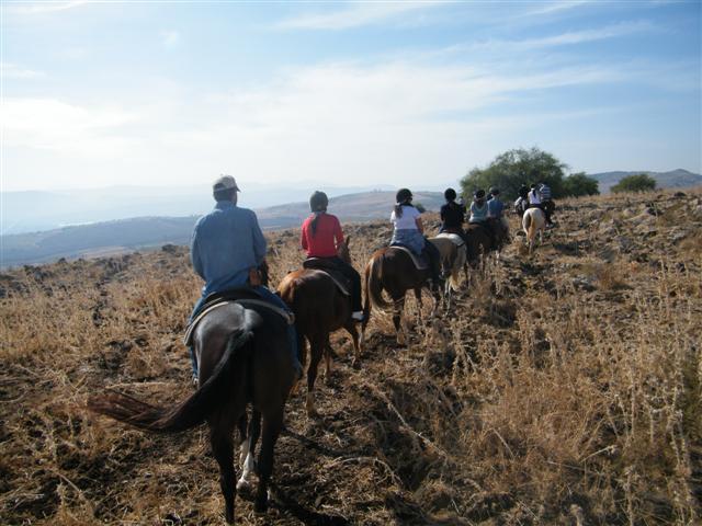 טיול סוסים