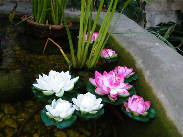 יופיו של הטבע