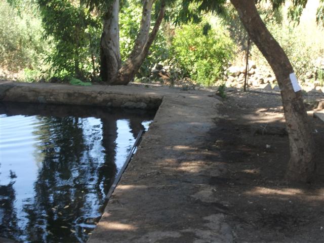 מעיין בגולן
