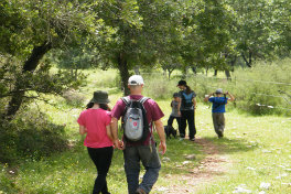 יום גיבוש - משפחות מטיילות בגולן
