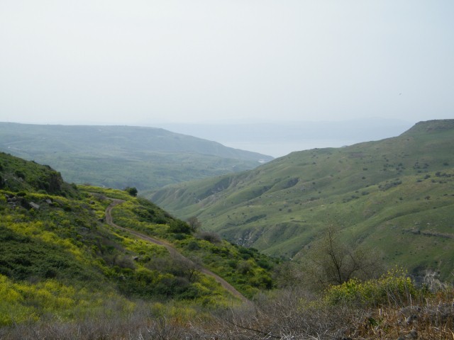 יום גיבוש עובדים- נוף רמת הגולן