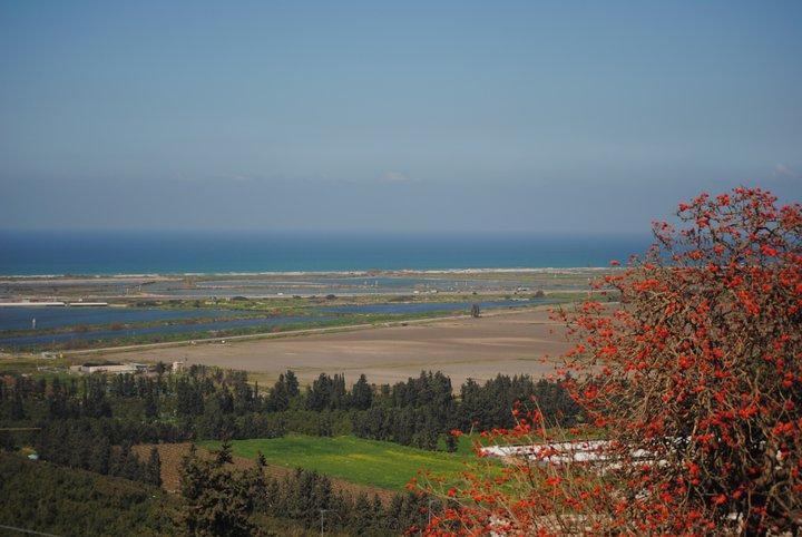 תצפית לחוף הים התיכון